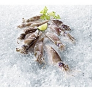 Kalamar Forbesi California 4.99&nbsp;&euro;