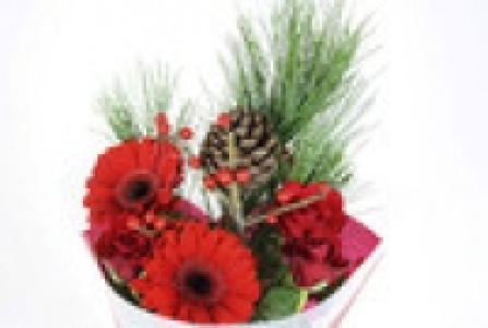 Weihnachtsstrauß 3.99 €