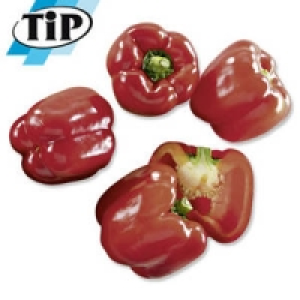 Spanien Paprika, rot 1.19&nbsp;&euro;