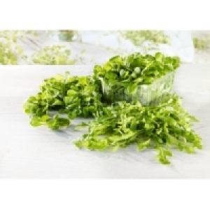 Fine Food Rucola Napolitano 1.49&nbsp;&euro;