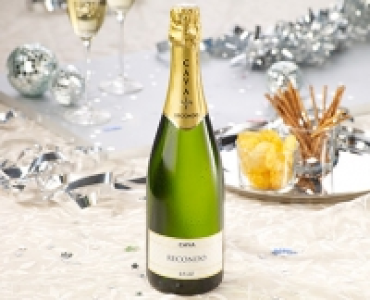 RECONDO Cava Brut 3.99 €