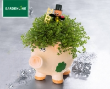 GARDENLINE®Glücksbringer 2.59 €