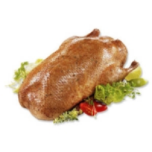 Frische Gans