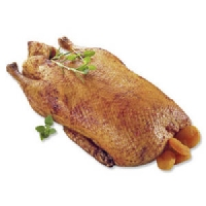 Frische junge Ente