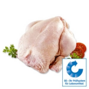 Frisches Hähnchen