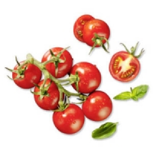 Italien/Senegal Rispencocktailtomaten