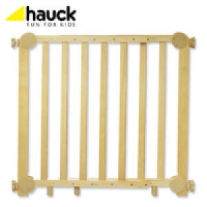 Kinder-T&uuml;rschutzgitter 29.95&nbsp;&euro;