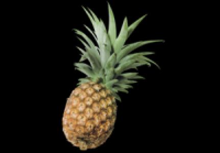 Ananas 1.79 €