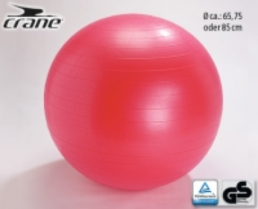 CRANE®Gymnastikball