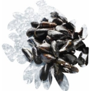 Miesmuscheln 11.99 €