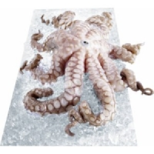 Pulpo