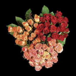 Rosenstrauß