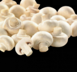 Weiße Champignons