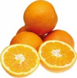 Bio-Orangen 1.49&nbsp;&euro;