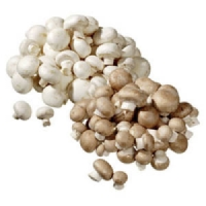 Niederlande/Polen Champignons, wei&szlig; oder braun