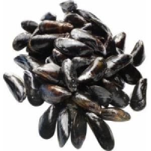 Miesmuscheln Extra 2.49&nbsp;&euro;