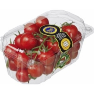 Fine Food Pachino Tomaten