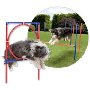 Hunde-Trainings-Set 39.95 €