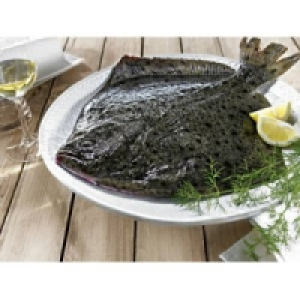 Steinbutt 10.99 €