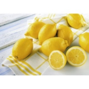 Fine Food Bio Zitronen