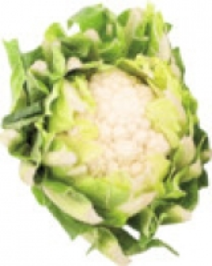 Blumenkohl 1.49 €
