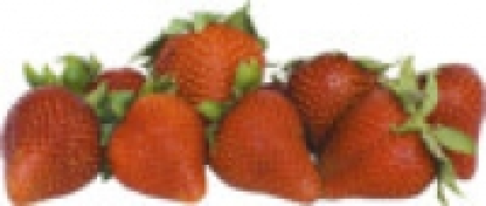 Erdbeeren 1.99 €
