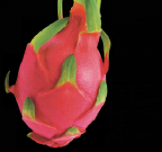 Rote Pitahaya 1.49 €