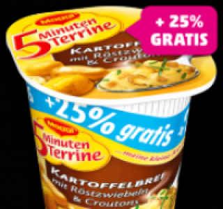 MAGGI 5-Minuten-Terrine