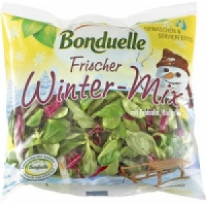 Bonduelle Wintermix Salat/Feldsalat