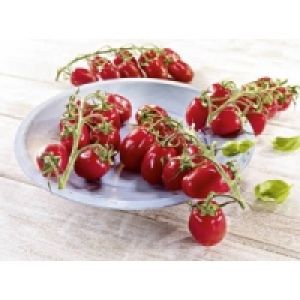 Mini Rispentomaten San Marzano 2.49&nbsp;&euro;