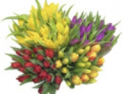 Tulpenstrau&szlig; 1.99&nbsp;&euro;