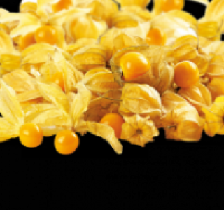 Physalis 0.79 €