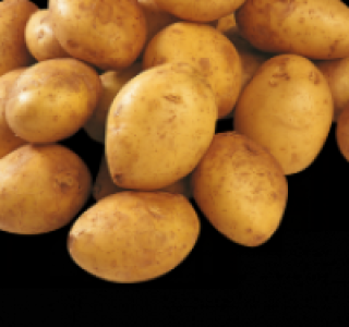 Speisekartoffeln