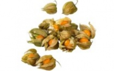 Physalis 0.88 €