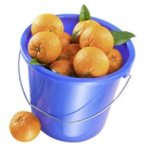 Ein Eimer voll Spanien Orangen Navelinas 5.99 €