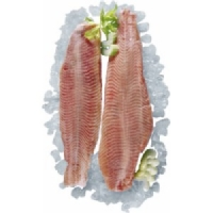 Welsfilet 8.99 €