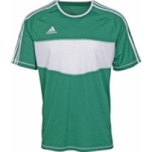 Herren Trikot oder Sportshort 1)