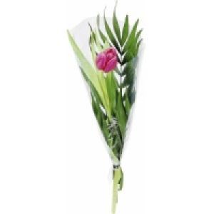 Mixkarton 1 0.33 €