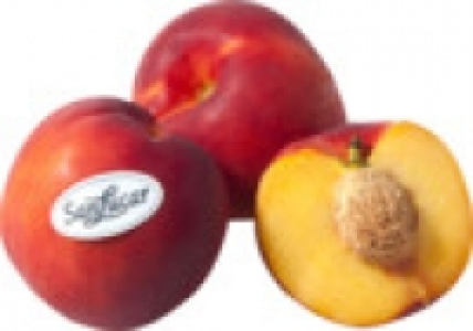 Nektarinen gelb 0.79 €