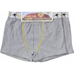 2er Pack Herren Retro Short