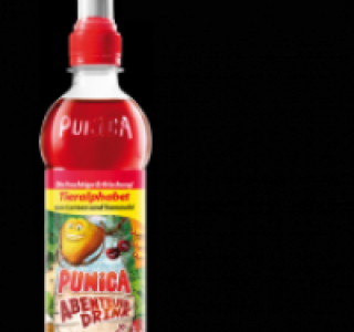 PUNICA Abenteuer-Drink 0.79 €