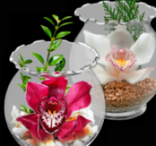 Cymbidium-Bl&uuml;te im Wellenrandglas