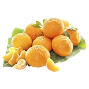 Spanien Clementinen Nadorcot