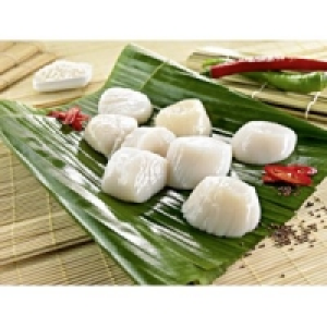MSC Kammmuschelfleisch 24.99 €