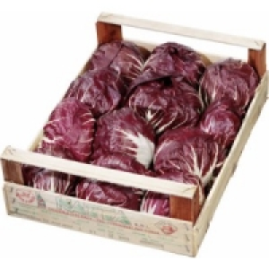 Radicchio rot