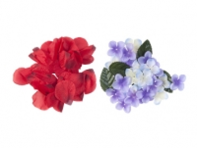 BL&Uuml;TEN ODER ZWEIGE