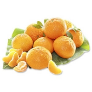 Spanien Clementinen Nadorcott 1.69&nbsp;&euro;