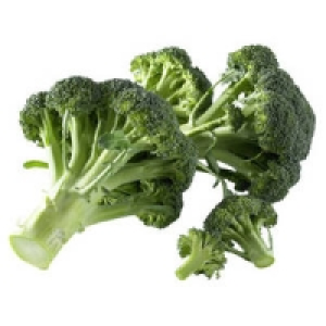 Spanien/Italien Broccoli 0.88&nbsp;&euro;