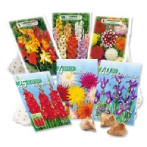 Blumenzwiebeln 1.29 €