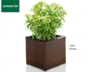 GARDENLINE®Geflecht-Pflanzgefäß